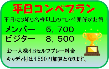平日コンペプラン