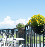 カフェ アンジェリコ