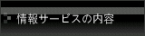T[rX̓e