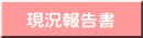 現況報告書
