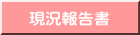 現況報告書