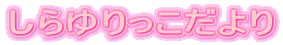 しらゆりっこだより