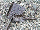 Z-53G
